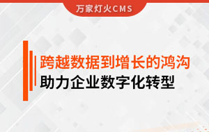跨越數(shù)據(jù)到增長的鴻溝，助力企業(yè)數(shù)字化轉(zhuǎn)型